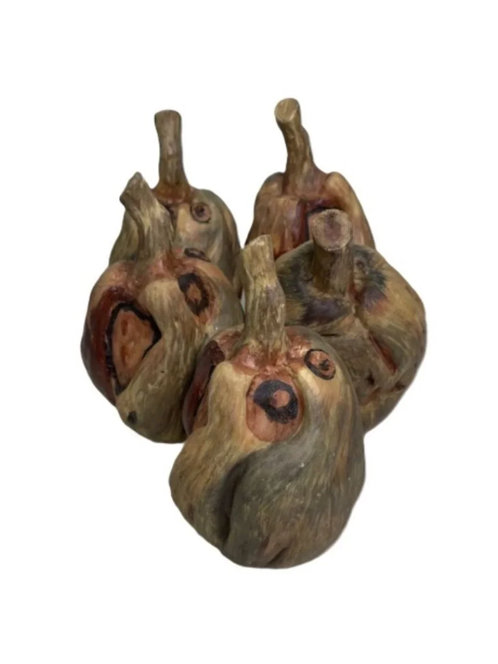 Autumn Gourd Pumpkin or Seed Pod Nature Decoration Faux Wood 5 Pc